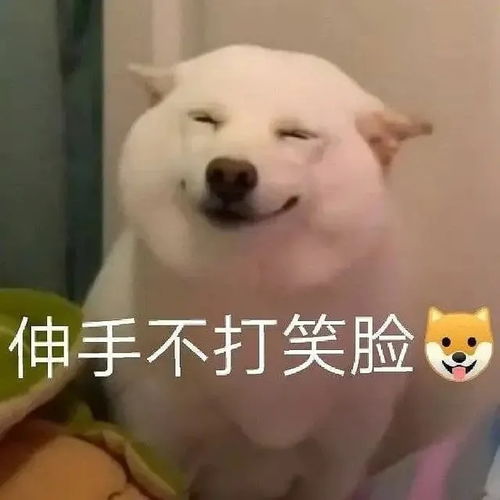 考研前做近视手术比较好,还是考研后做比较好呀