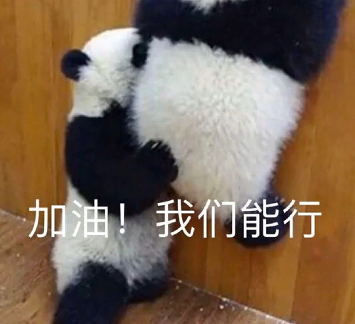 可爱搞笑动物表情包图片,好了不要再说了