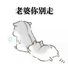 求老婆原谅专用表情包老婆你可以打我骂我,就是不能不理我