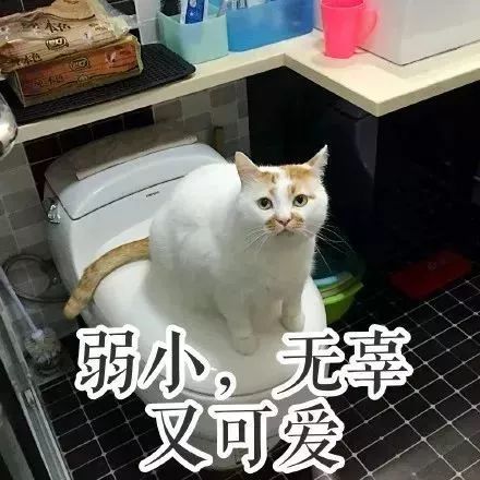 2017年度表情包大赏假笑boy边缘试探.南宁人你最爱的是