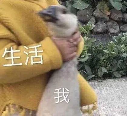 年轻人疫后正在拼命养生,你加入了吗