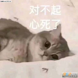 别问了老子今天也爱你图片我上去就是一瓢表情包下载乐游网游戏下载