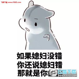 我老婆我惯得仓鼠表情包高清无水印版下载我老婆我惯得仓鼠表情包无水印版高清版下载飞翔下载