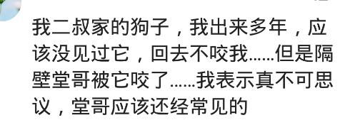 我妈烦透了我家狗偷偷送给亲戚,到了那边三天不吃不喝