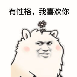 你看着我们这这么多有趣的翻译文章,想不想自己动笔那你大概还不了解我们译之网