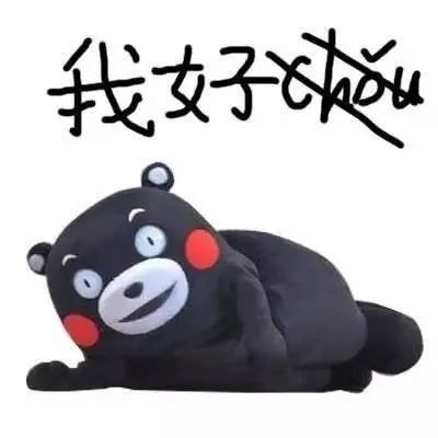 表情包我是一个不知道丑字怎么写的人