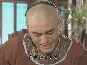 史上最假驾照,黑色封皮下光头强最后的倔强