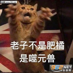 我噬元兽超凶橘猫表情包噬元兽队长表情包图片下载乐游网游戏下载