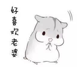 琪宝照片琪宝相册大全yy官方