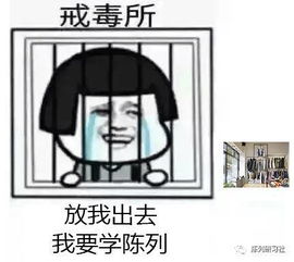 人家才是卖包包,你那只是摆地摊