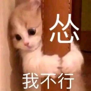 头像表情包丨小猫咪能有什么坏心思呢

