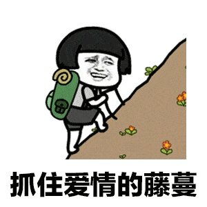 pmp杂谈爱情必胜术