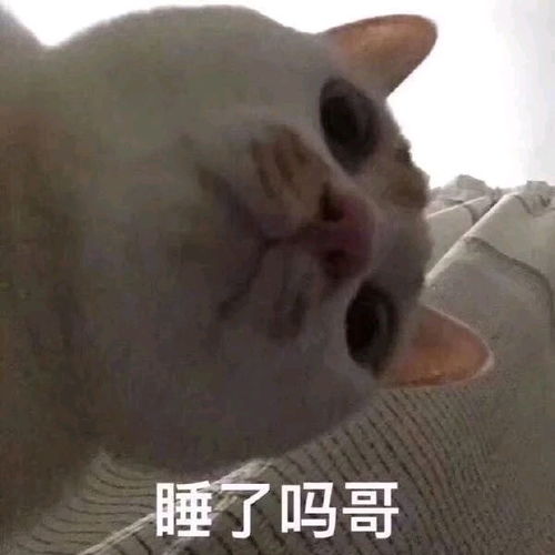 ooo