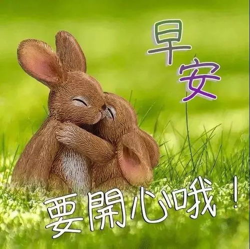 朋友圈新版早上好图片最新版温馨早上好问候语优美短句