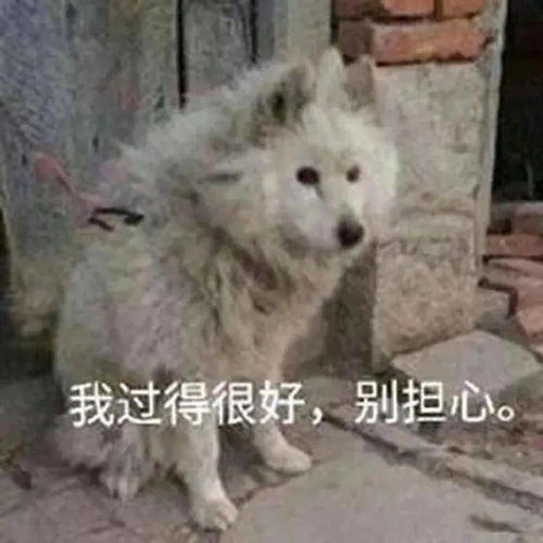 女团在前面唱跳,我在后面补钙