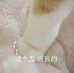双11花的钱还没还上双12又来了看完这些套路再剁手