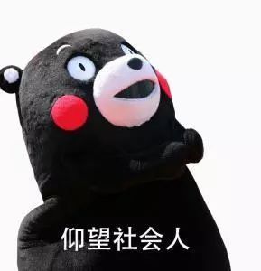 圣诞帽,票圈年度最富戏精套路