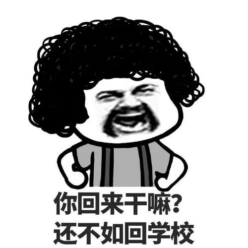 原创叮咚寒假最强攻略请查收