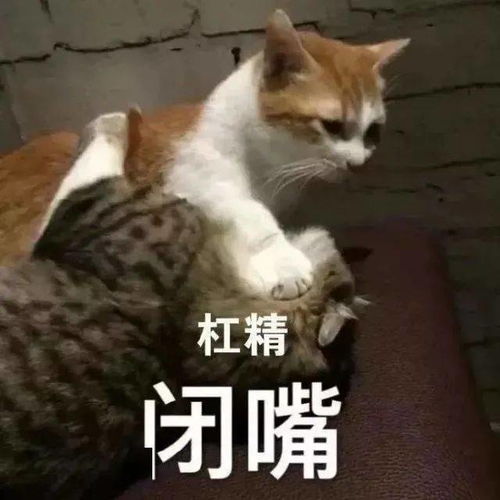 奇怪的表情又增加了