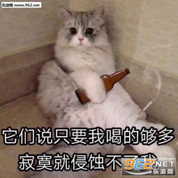 逐渐变帅逐渐变美表情包图片大全忘了鹿晗我偷电动车养你表情包图片下载乐游网游戏下载