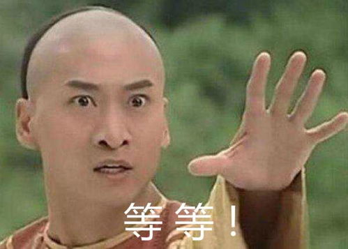 动物