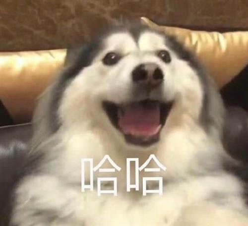 终有点要涨的感觉了