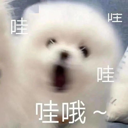 表情包baby,你还回家吗