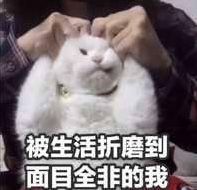 想要假期吃不胖希望永远瘦下去秋天减肥必知4件事