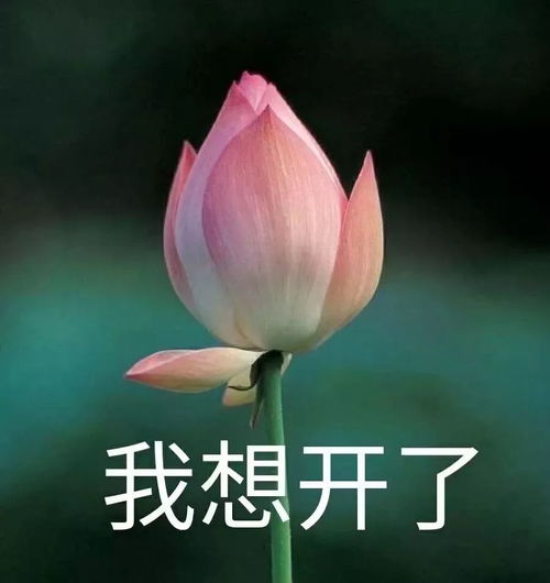 厦门终于入冬了但是,你们的短袖还是先拿出来穿几天
