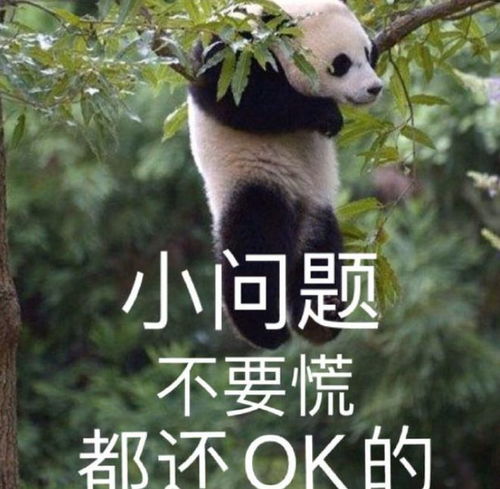 超长待机的三伏天正式开启