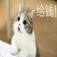 老公表情包猫咪微信头像图片大全