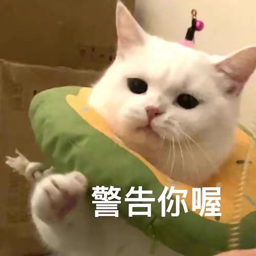 拉勾勾表情包表情包
