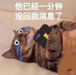 收到请回复的意义