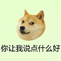 震惊网传个旧精诚大楼附近有人售卖钻山豹真相竟是这样的