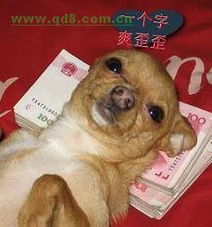 工商注册,金融代理服务