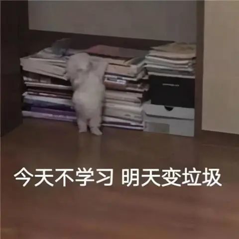 表情包醒醒啊,该读书了