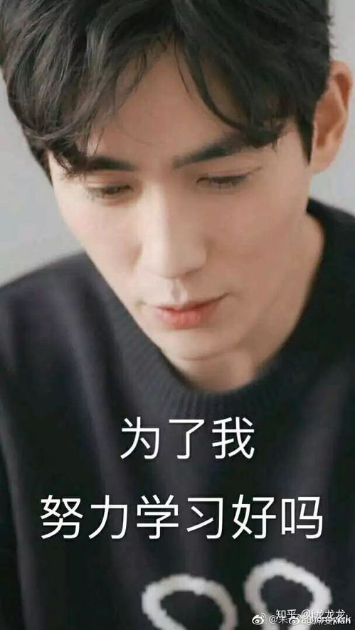 朱一龙叫你学习你去吗