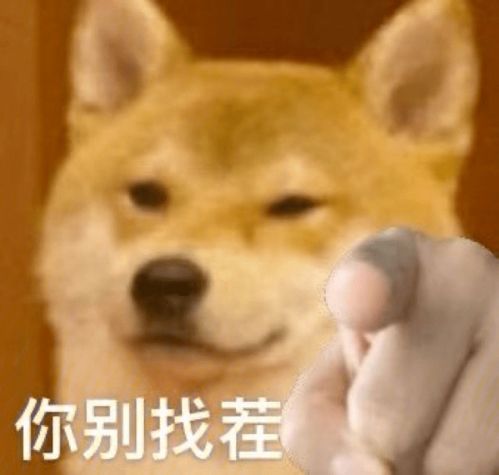 e句话看天下丨关晓彤回应走路像大爷遛弯,还挺得体的