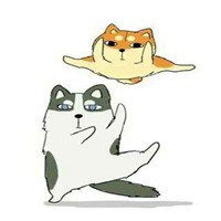柴犬哈士奇动漫表情包微信头像图片大全