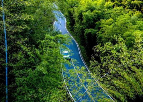 庐江县龙桥镇建管养护做好四好农村路