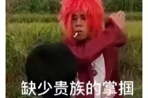 永远18岁表情包葬爱家族