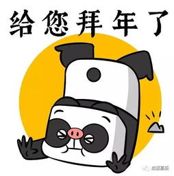 方脑壳熊猫来拜年啰