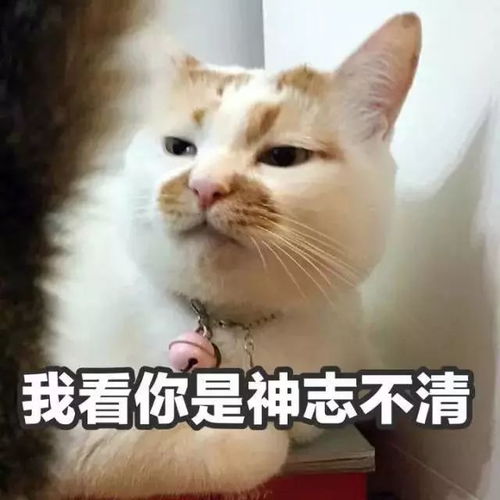 斗图表情包你是什么货色我就什么脸色