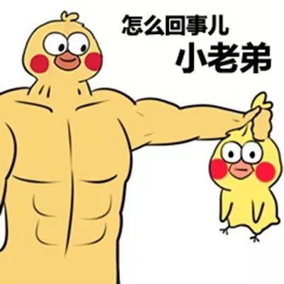 冬季红榜入冬后的生肖