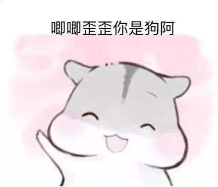 抖音小仓鼠高清无水印表情包合集超萌