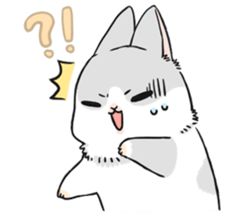 newx档案116期