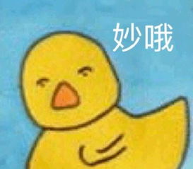 史上最呆萌吃鸡游戏,玩家全是小黄鸭,戴着荷叶当三级头盔