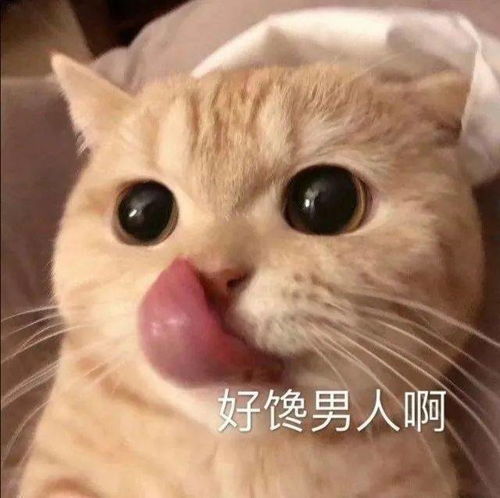 今日份个性沙雕表情包集