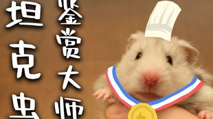 给大家看鼠片一家之鼠卖萌求宠