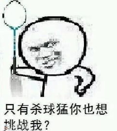 讽刺胖子的表情包羽毛